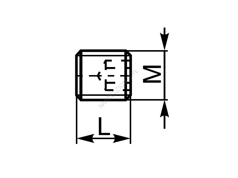 Rysunek techniczny: Części zamienne - CZWK wkręt M18x2 L20mm - KOLNO